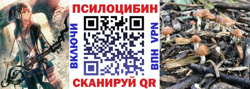 Купить  Печоры  Псилоцибиновые грибы ЛСД 